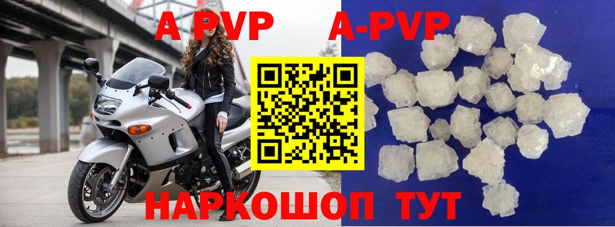 Луга  Альфа ПВП СК КРИС  Вход с VPN 