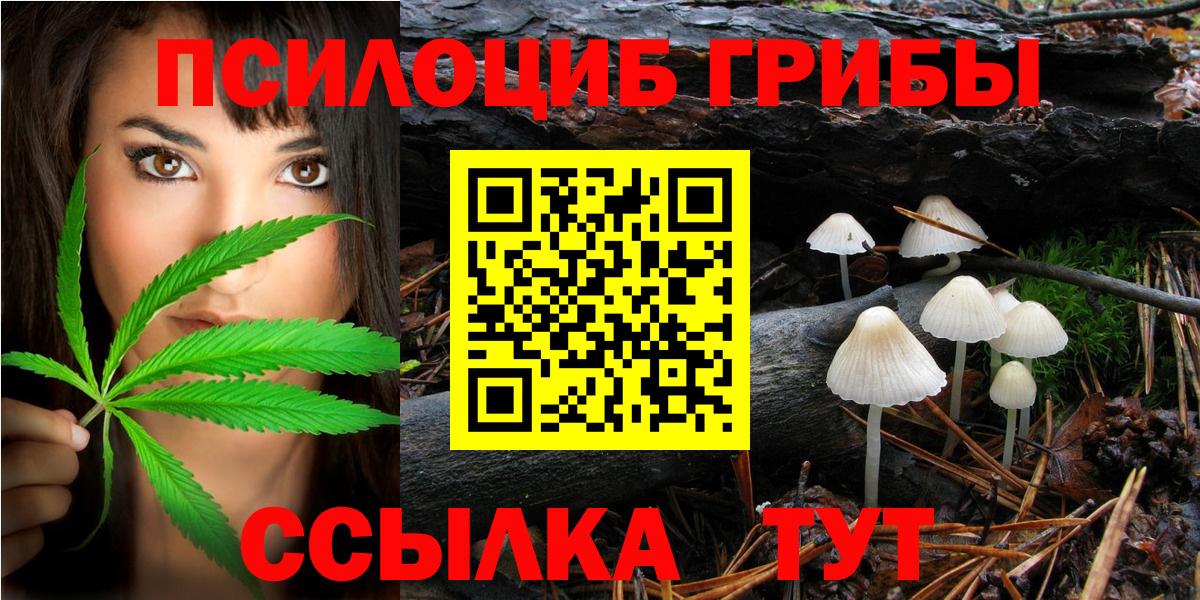 Галлюциногенные грибы GOLDEN TEACHER  Вход с VPN  Луга 